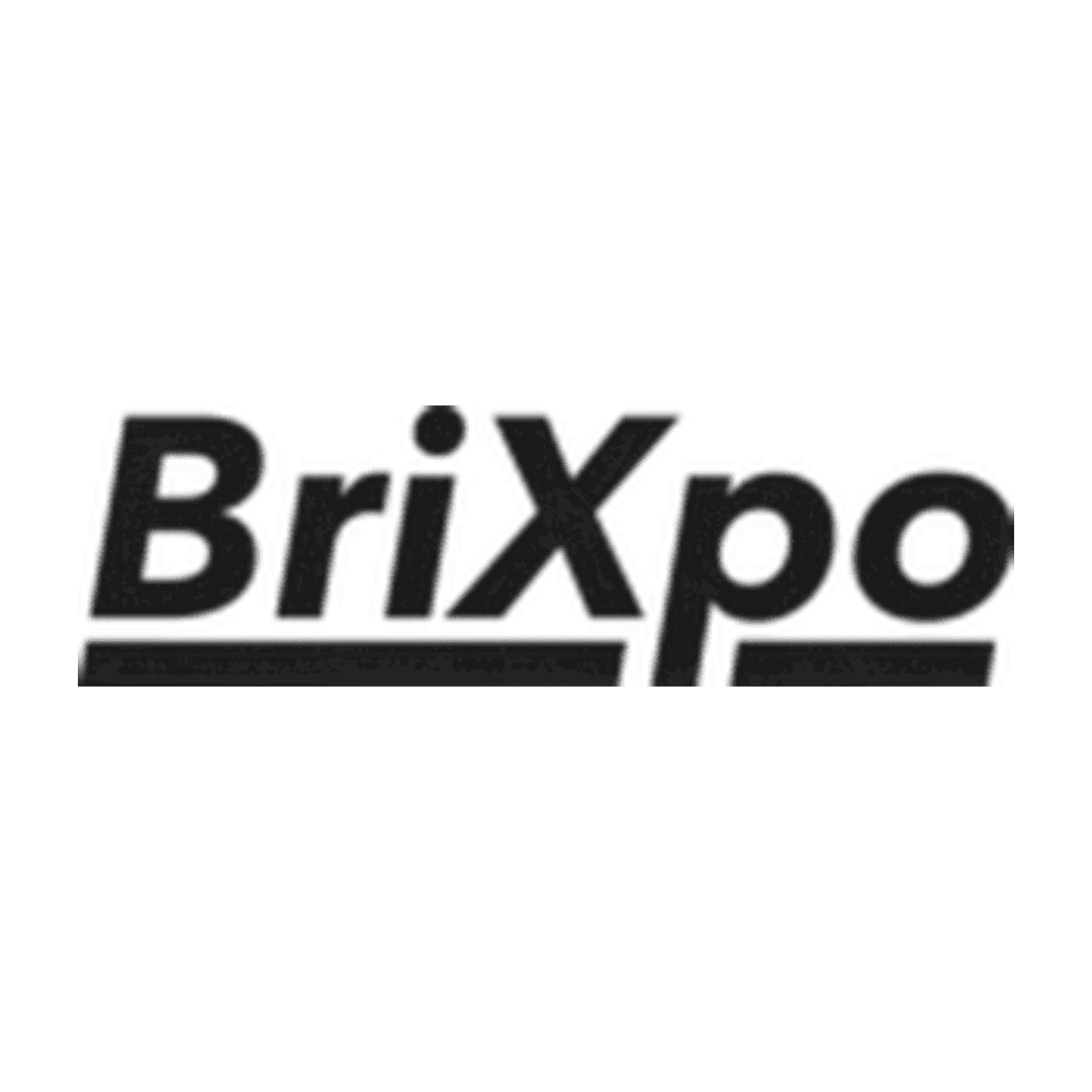 Verein BriXpo Logo