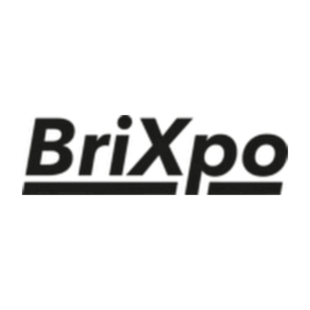 Verein BriXpo Logo